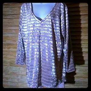 NWOT BLUSH VELVET V-NECK TUNIC